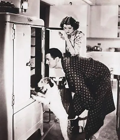 Тонкий человек (1934) скачать торрент бесплатно Тонкий человек (1934) фильм скачать торрент бесплатно