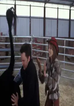 Мошенники (2002) скачать торрент бесплатно Мошенники (2002) фильм скачать торрент бесплатно