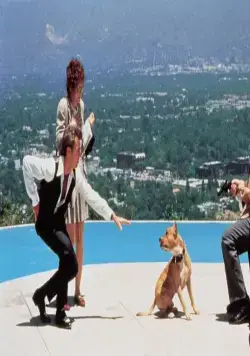 Два дня в долине (1996) скачать торрент бесплатно Два дня в долине (1996) фильм скачать торрент бесплатно