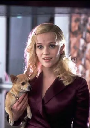 Блондинка в законе 2 (2003) скачать торрент файл Блондинка в законе 2 (2003) фильм скачать торрент файл