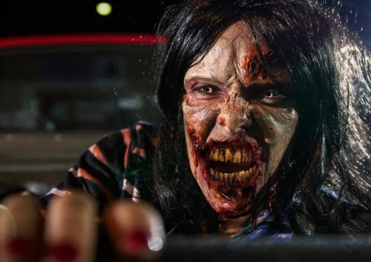 Я и мои друзья против зомби-апокалипсиса (2015) скачать торрент файл Я и мои друзья против зомби-апокалипсиса (2015) фильм скачать торрент файл