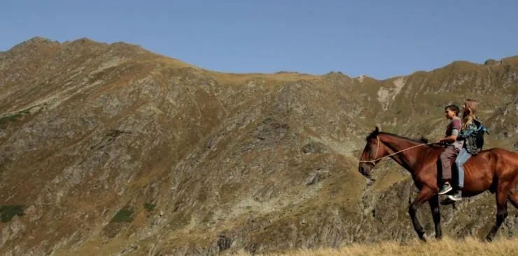 Приключения Нелли (2016) скачать торрент бесплатно Приключения Нелли (2016) фильм скачать торрент бесплатно