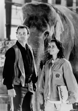 Больше, чем жизнь (1996) в хорошем качестве скачать торрент файл Больше, чем жизнь (1996) фильм в хорошем качестве скачать торрент файл