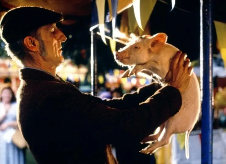 Бэйб: Четвероногий малыш (1995) в хорошем качестве скачать торрент файл Бэйб: Четвероногий малыш (1995) фильм в хорошем качестве скачать торрент файл