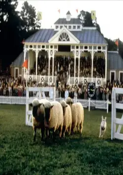 Бэйб: Четвероногий малыш (1995) скачать торрент бесплатно Бэйб: Четвероногий малыш (1995) фильм скачать торрент бесплатно