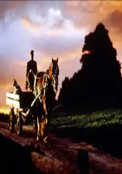 Бэйб: Четвероногий малыш (1995) скачать торрент файл Бэйб: Четвероногий малыш (1995) фильм скачать торрент файл