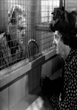 Белая горячка (1949) в хорошем качестве скачать торрент файл Белая горячка (1949) фильм в хорошем качестве скачать торрент файл