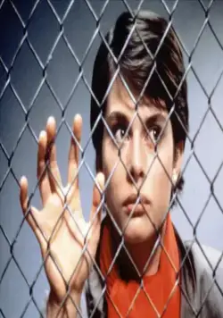 Люди-кошки (1982) скачать торрент файл Люди-кошки (1982) фильм скачать торрент файл