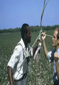 Место в сердце (1984) в хорошем качестве скачать торрент файл Место в сердце (1984) фильм в хорошем качестве скачать торрент файл