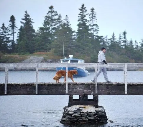 Джесси Стоун: Гибель невинных (2011) скачать торрент бесплатно Джесси Стоун: Гибель невинных (2011) фильм скачать торрент бесплатно