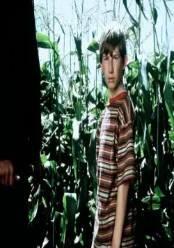 Дети кукурузы 5: Поля страха (1998) скачать торрент файл Дети кукурузы 5: Поля страха (1998) фильм скачать торрент файл
