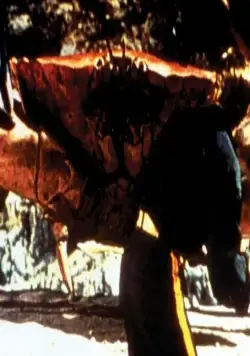 Остров приключений (1961) в хорошем качестве скачать торрент файл Остров приключений (1961) фильм в хорошем качестве скачать торрент файл