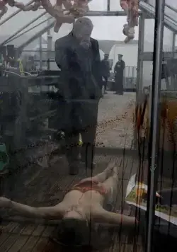 Читая мысли (2005) скачать торрент бесплатно Читая мысли (2005) фильм скачать торрент бесплатно