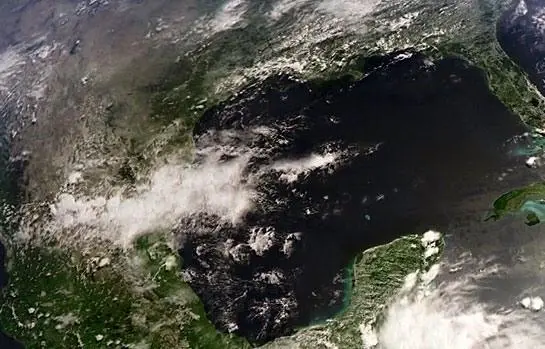 BBC: Жизнь (2009) 1 сезон 1-8,9,10 серия скачать торрент файл BBC: Жизнь (2009) сериал 1-8,9,10 серию 1 сезона скачать торрент файл