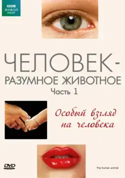 BBC: Человек – разумное животное / The Human Animal (1994) сериал скачать через торрет бесплатно в хорошем качестве