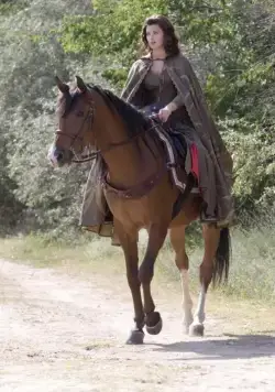 Робин Гуд (2006) 1-3 сезон 1-11,12,13 серия в хорошем качестве скачать торрент файл Робин Гуд (2006) сериал 1-11,12,13 серию 1-3 сезона в хорошем качестве скачать торрент файл