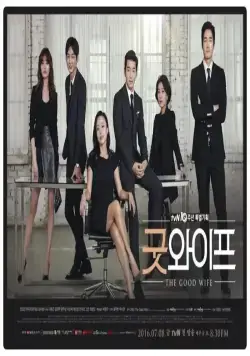 Хорошая жена / Gut waipeu (2016) cериал скачать через торрет бесплатно в хорошем качестве