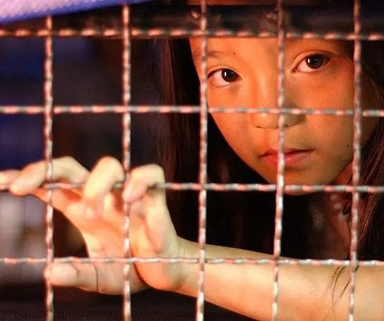 Живой товар (2005) 1 сезон 1-1,2 серия скачать торрент бесплатно Живой товар (2005) сериал 1-1,2 серию 1 сезона скачать торрент бесплатно