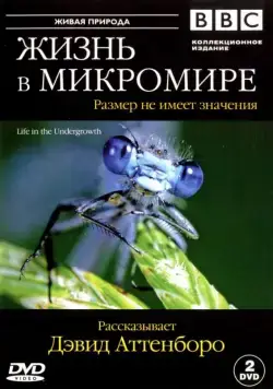 BBC: Жизнь в микромире / Life in the Undergrowth (2005) cериал скачать через торрет бесплатно в хорошем качестве