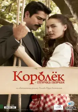 Королёк – птичка певчая / Çalikusu (2013) cериал скачать через торрет бесплатно в хорошем качестве