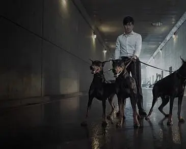 Плохие парни (2014) 1-2 сезон 1-14,15,16 серия скачать торрент файл Плохие парни (2014) сериал 1-14,15,16 серию 1-2 сезона скачать торрент файл