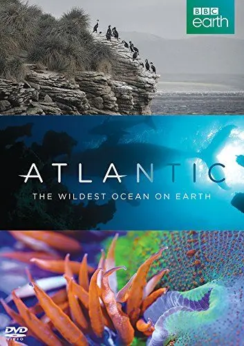 Атлантика: Самый необузданный океан на Земле / Atlantic: The Wildest Ocean on Earth (2015) cериал скачать через торрет бесплатно в хорошем качестве
