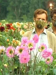 Кин-дза-дза (1986) скачать торрент файл Кин-дза-дза (1986) фильм скачать торрент файл