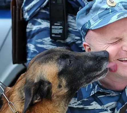 Всё к лучшему (2010) 1 сезон 1-259,260,261 серия скачать торрент бесплатно Всё к лучшему (2010) сериал 1-259,260,261 серию 1 сезона скачать торрент бесплатно