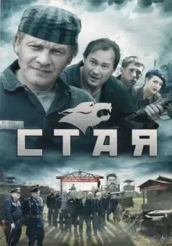 Стая (2009) cериал скачать через торрет бесплатно в хорошем качестве