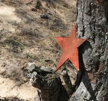 Баллада о бомбере (2011) 1 сезон 1-6,7,8 серия скачать торрент бесплатно Баллада о бомбере (2011) сериал 1-6,7,8 серию 1 сезона скачать торрент бесплатно