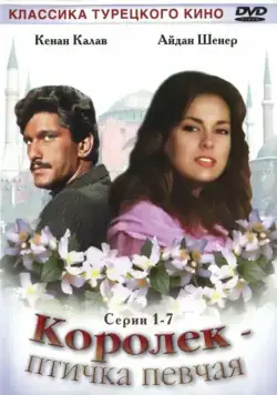 Королёк – птичка певчая / Çalıkuşu (1986) cериал скачать через торрет бесплатно в хорошем качестве