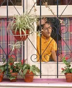 В поисках отца (2005) скачать торрент бесплатно В поисках отца (2005) сериал скачать торрент бесплатно