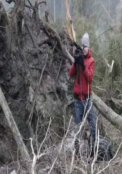 Лесник 3 (2015) скачать торрент бесплатно Лесник 3 (2015) сериал скачать торрент бесплатно