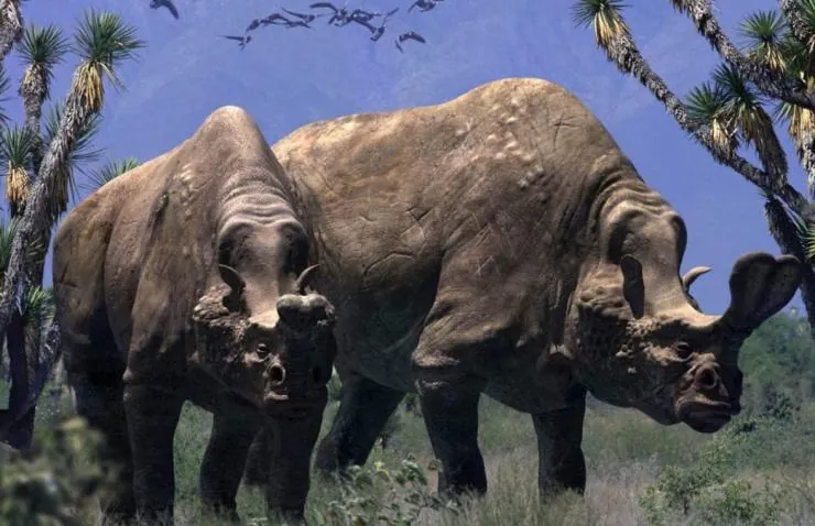 Прогулки с чудовищами (2001) 1 сезон 1-4,5,6 серия в хорошем качестве скачать торрент файл Прогулки с чудовищами (2001) сериал 1-4,5,6 серию 1 сезона в хорошем качестве скачать торрент файл