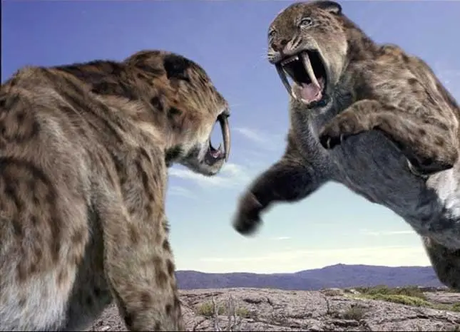 Прогулки с чудовищами (2001) 1 сезон 1-4,5,6 серия скачать торрент файл Прогулки с чудовищами (2001) сериал 1-4,5,6 серию 1 сезона скачать торрент файл