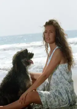 Маримар (1994) 1 сезон 1-72,73,74 серия скачать торрент файл Маримар (1994) сериал 1-72,73,74 серию 1 сезона скачать торрент файл