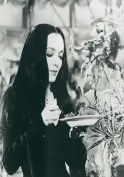 Семейка Аддамс (1964) 1-2 сезон 1-28,29,30 серия скачать торрент бесплатно Семейка Аддамс (1964) сериал 1-28,29,30 серию 1-2 сезона скачать торрент бесплатно