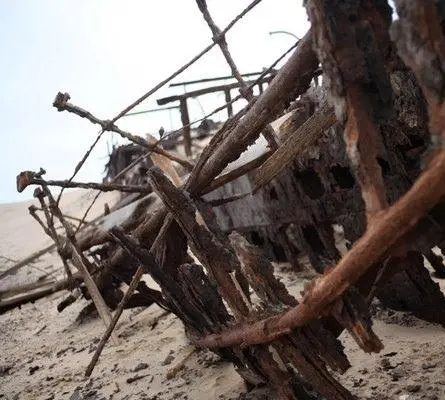 Чудеса Вселенной (2011) 1 сезон 1-1,2,3,4 серия в хорошем качестве скачать торрент файл Чудеса Вселенной (2011) сериал 1-1,2,3,4 серию 1 сезона в хорошем качестве скачать торрент файл