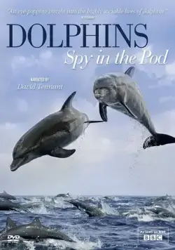 Дельфины скрытой камерой / Dolphins: Spy in the Pod (2014) cериал скачать через торрет бесплатно в хорошем качестве