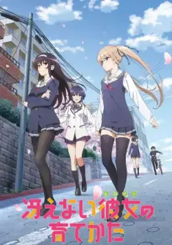 Как создать из обычной девушки героиню / Saenai hiroin no sodatekata (2015) cериал мультфильм аниме скачать через торрет бесплатно в хорошем качестве