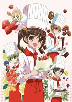Великолепный кондитер / Yumeiro Patissiere (2009) сериаланиме скачать через торрет бесплатно в хорошем качестве