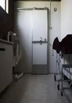 Озеро Мунго (2008) скачать торрент бесплатно Озеро Мунго (2008) фильм скачать торрент бесплатно