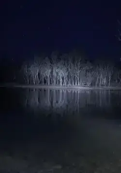 Озеро Мунго (2008) скачать торрент файл Озеро Мунго (2008) фильм скачать торрент файл