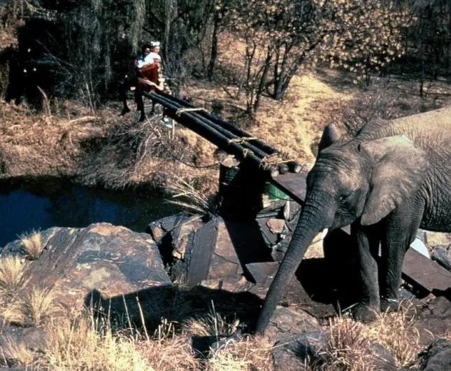 Невероятные приключения янки в Африке (1993) в хорошем качестве скачать торрент файл Невероятные приключения янки в Африке (1993) фильм в хорошем качестве скачать торрент файл