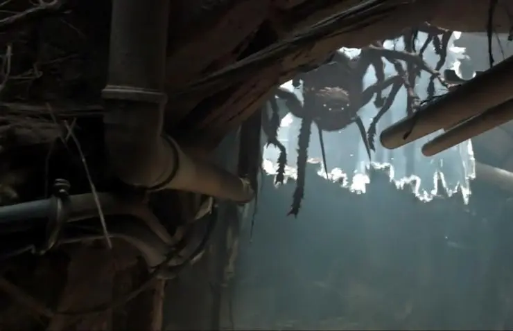 Пауки (2012) в хорошем качестве скачать торрент файл Пауки (2012) фильм в хорошем качестве скачать торрент файл