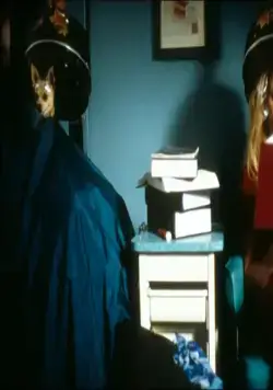 Блондинка в законе (2001) в хорошем качестве скачать торрент файл Блондинка в законе (2001) фильм в хорошем качестве скачать торрент файл