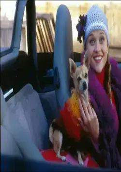 Блондинка в законе (2001) скачать торрент бесплатно Блондинка в законе (2001) фильм скачать торрент бесплатно