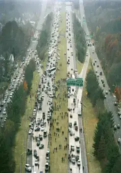 Война миров (2005) скачать торрент бесплатно Война миров (2005) фильм скачать торрент бесплатно