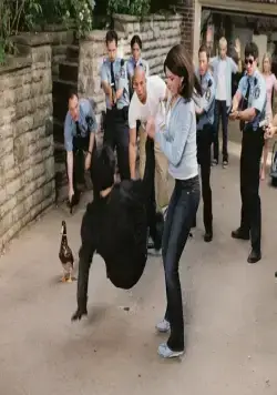 Лысый нянька: Спецзадание (2005) скачать торрент бесплатно Лысый нянька: Спецзадание (2005) фильм скачать торрент бесплатно