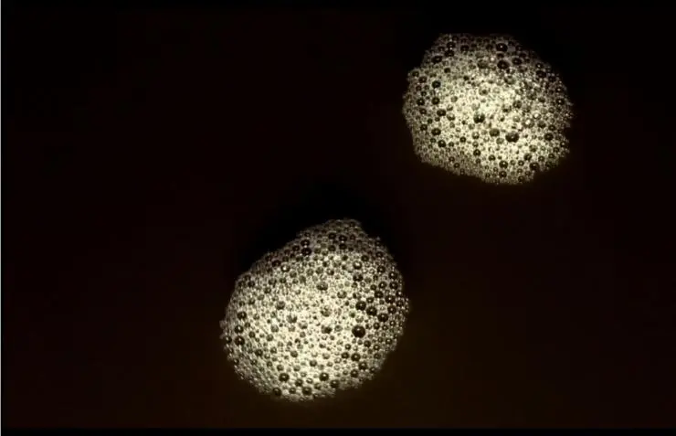 Генезис (2004) скачать торрент бесплатно Генезис (2004) фильм скачать торрент бесплатно